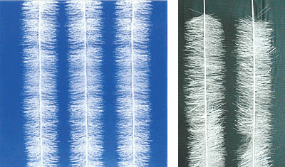 彈性填料的性能特點(diǎn)